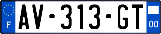 AV-313-GT
