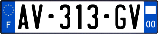 AV-313-GV
