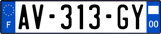 AV-313-GY