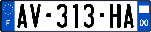 AV-313-HA