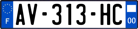 AV-313-HC