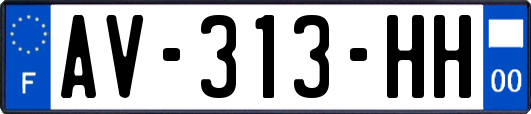 AV-313-HH