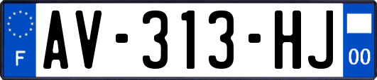 AV-313-HJ