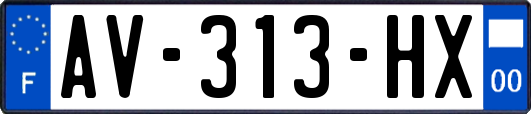 AV-313-HX