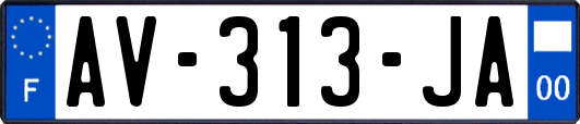 AV-313-JA
