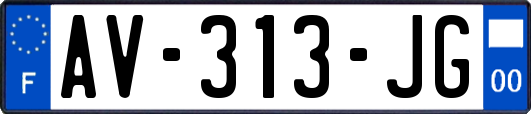 AV-313-JG