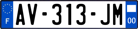 AV-313-JM