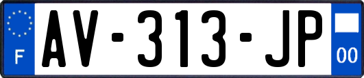 AV-313-JP
