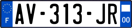 AV-313-JR