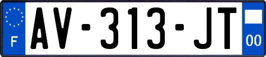 AV-313-JT