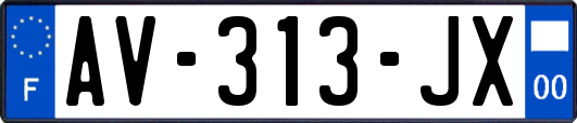 AV-313-JX