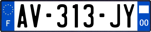 AV-313-JY