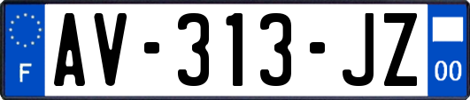 AV-313-JZ