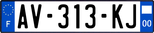 AV-313-KJ