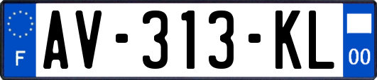 AV-313-KL