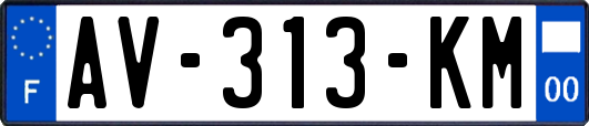 AV-313-KM