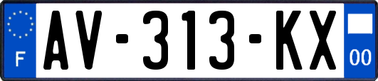AV-313-KX