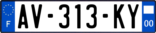 AV-313-KY