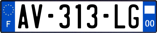 AV-313-LG