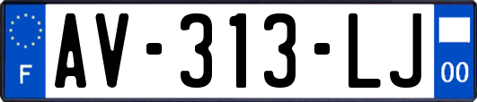 AV-313-LJ