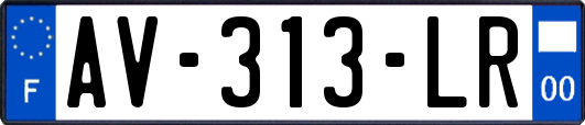 AV-313-LR