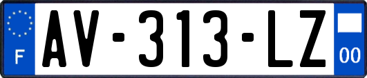 AV-313-LZ