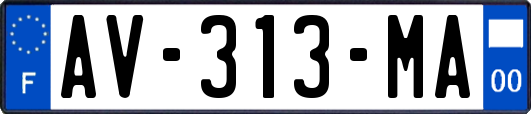 AV-313-MA