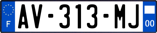 AV-313-MJ