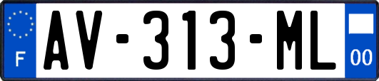 AV-313-ML