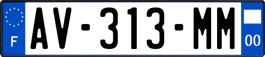 AV-313-MM