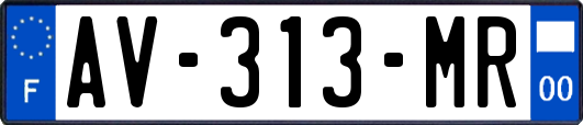 AV-313-MR