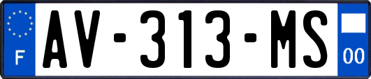 AV-313-MS