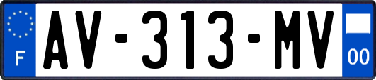 AV-313-MV