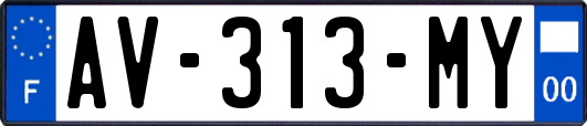 AV-313-MY
