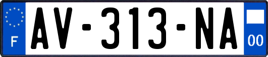 AV-313-NA