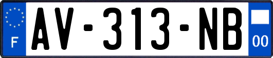 AV-313-NB