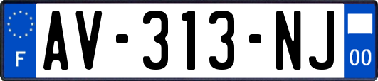 AV-313-NJ