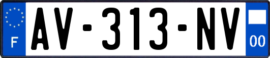 AV-313-NV