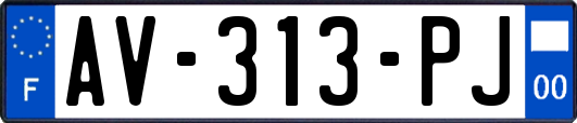 AV-313-PJ