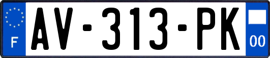 AV-313-PK