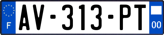 AV-313-PT