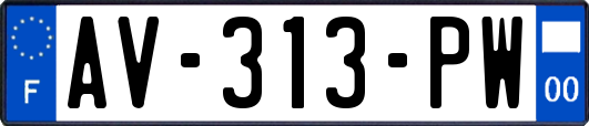 AV-313-PW