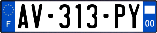 AV-313-PY