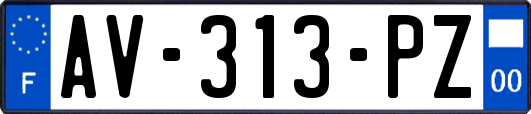 AV-313-PZ