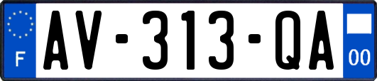 AV-313-QA