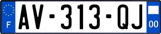 AV-313-QJ
