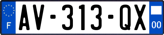 AV-313-QX