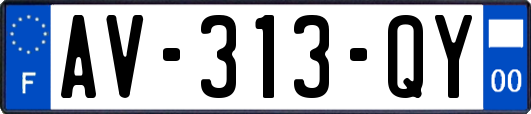 AV-313-QY