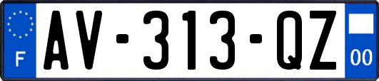AV-313-QZ