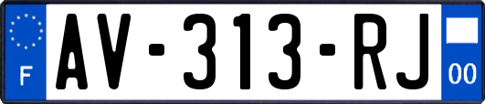 AV-313-RJ